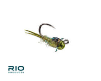 Rio Bug Nugget, Olive