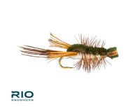Rio Clouser Cray, Olive