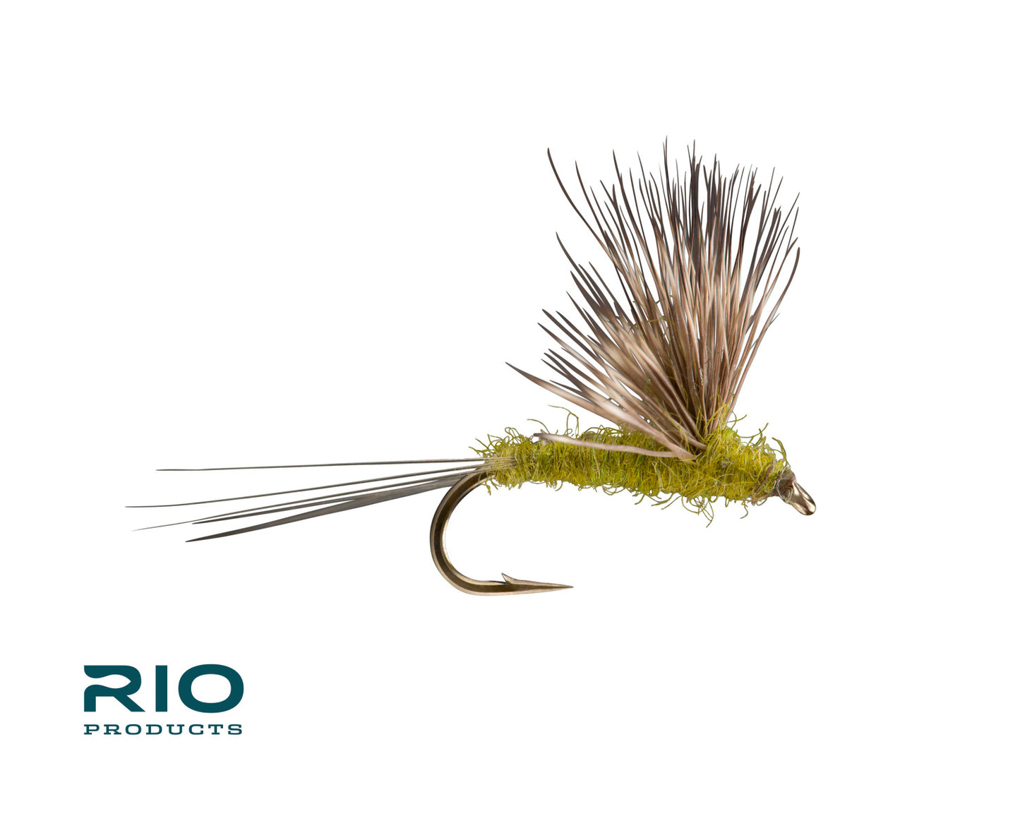 Rio Comparadun, Baetis