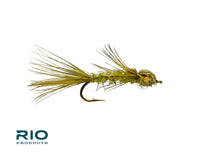 Rio Dainty Damsel