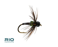 Rio Gum Dropper, Licorice