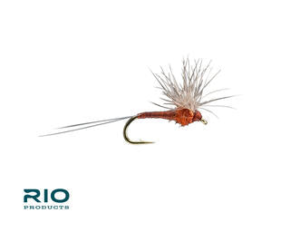 Rio Hackle Stacker, Rust