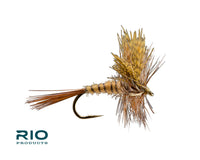 Rio March Brown