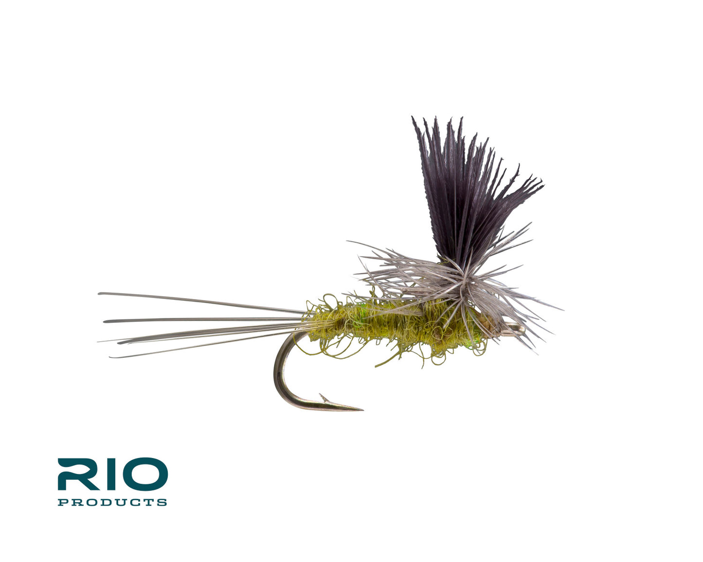 Rio Parachute, Baetis