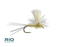 Rio Parachute, PMD | Size - 16
