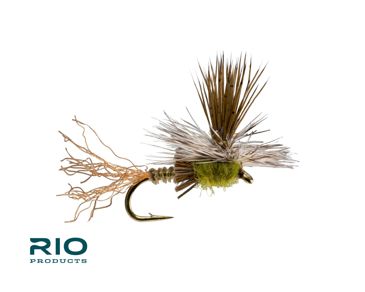 Rio Paracripple, Baetis