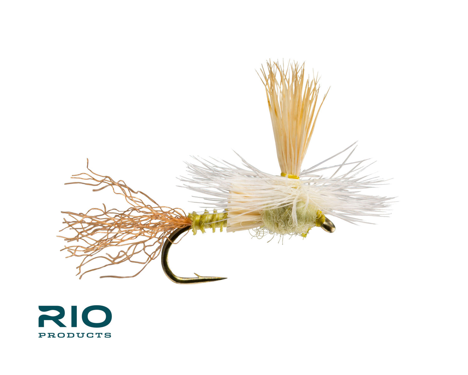 Rio Paracripple, PMD