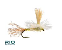 Rio Paracripple, PMD