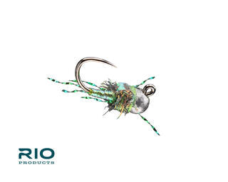 Rio Pearl Jam, Olive