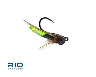 Rio Puparazzi, Chartreuse