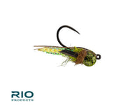Rio Puparazzi, Light Olive