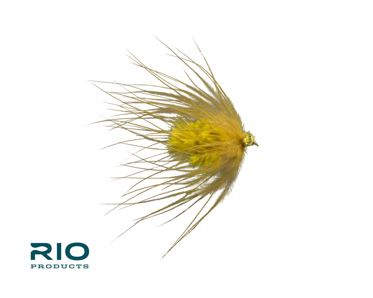 Rio Seductive Dragon, Olive