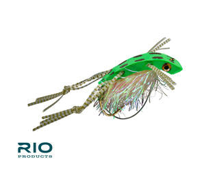 Rio Shimmy Frog, Leopard