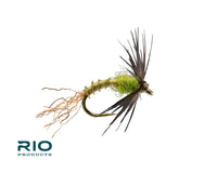 Rio Soft Emerger, BWO