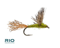 Rio Sparkle Dun, Baetis