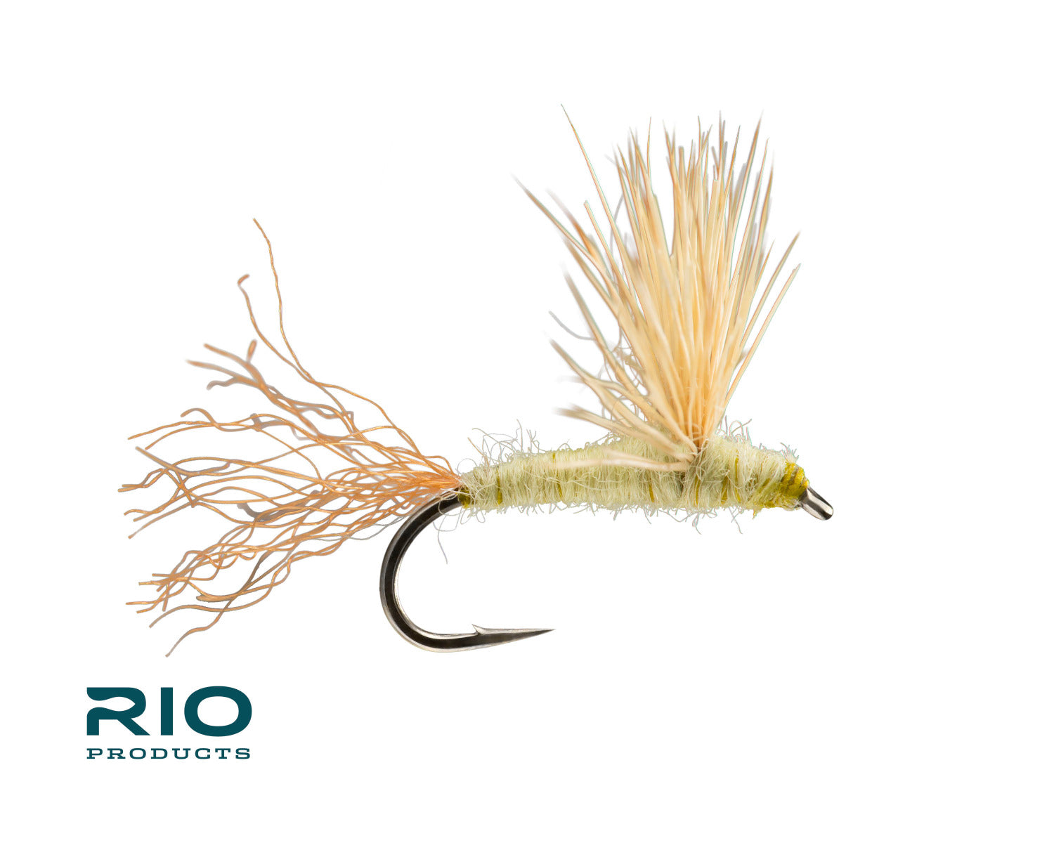 Rio Sparkle Dun, PMD