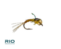 Rio Tailwater Tiny, Gold
