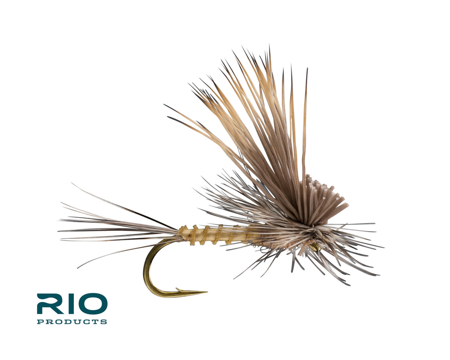 Rio Tilt Wing Dun, Callibaetis