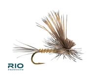 Rio Tilt Wing Dun, Callibaetis