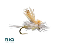 Rio Tilt Wing Dun, PMD | Size - 16