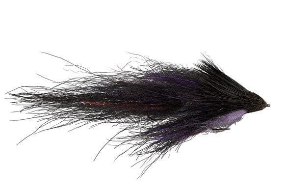 Rio Brammer Skinny Dipper, Blackout