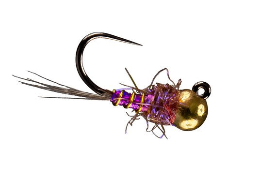 Rio Dick's Interstellar Overdrive, Fuchsia