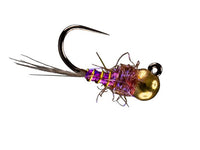 Rio Dick's Interstellar Overdrive, Fuchsia
