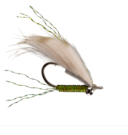 Rio Feczko Chrimp, Olive