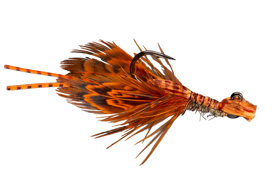 Rio King Spreyfish, Rust
