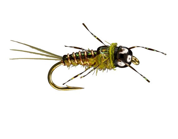 Rio Morrish Anato-May, Olive