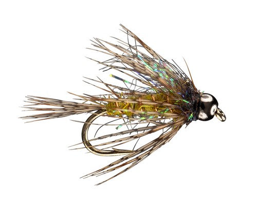 Rio Morrish Dirty Bird TB, Olive