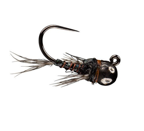 Rio Morrish Sparkle Donkey TB, Black