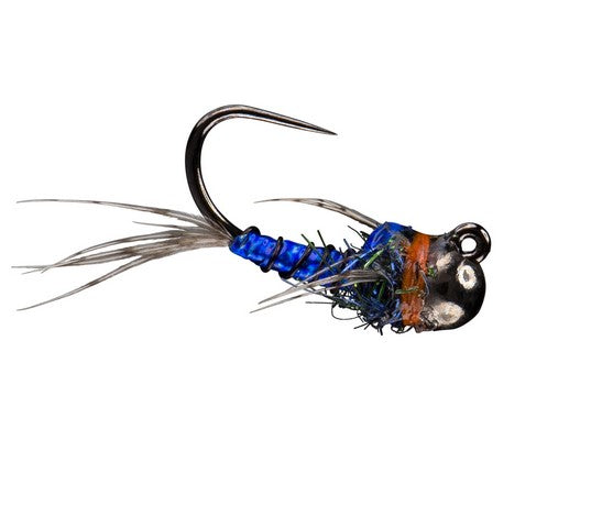 Rio Morrish Sparkle Donkey TB, Blue