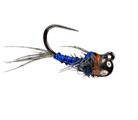 Rio Morrish Sparkle Donkey TB, Blue