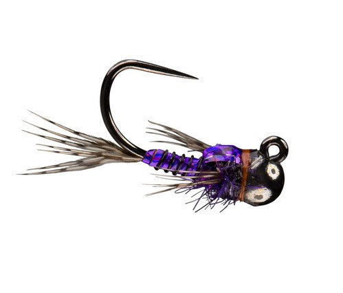 Rio Morrish Sparkle Donkey TB, Purple