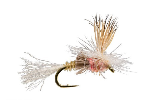 Rio Paracripple Pink