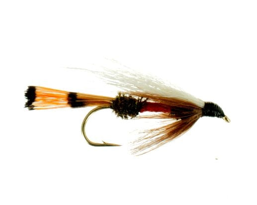 Royal Coachman, Bucktail