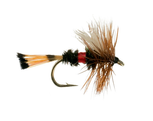 Royal Coachman, Fan Wing fly fishing fly