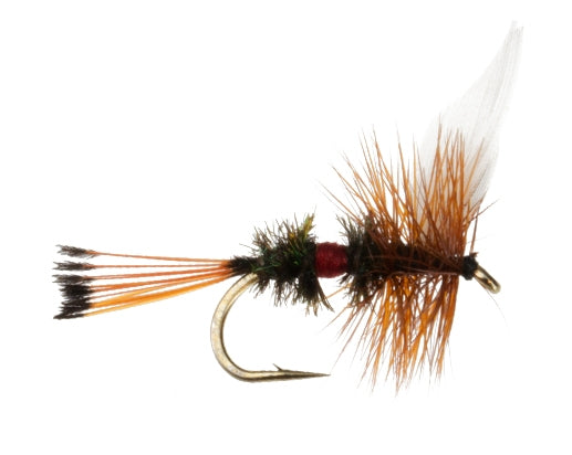 Royal Coachman fly fishing fly