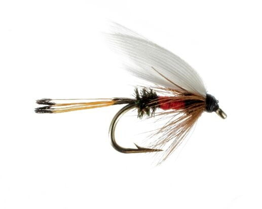 Wet Fly, Royal Coachman