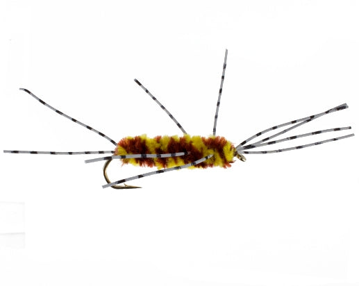 Rubberleg Stonefly