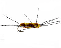 Rubberleg Stonefly