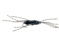 Rubberleg Stonefly, Gray
