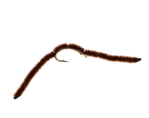 San Juan Worm, Brown