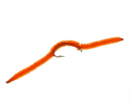 San Juan Worm, Orange