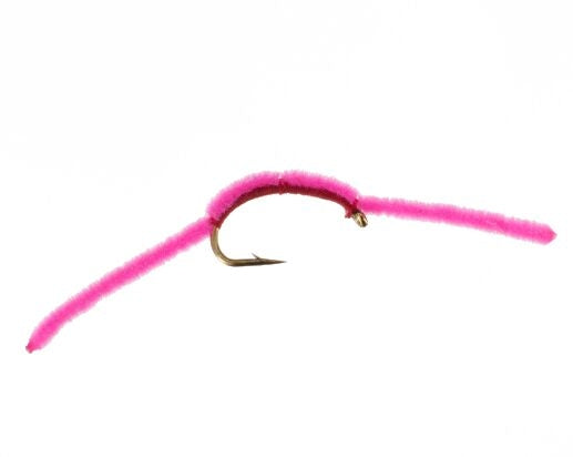 San Juan Worm, Pink