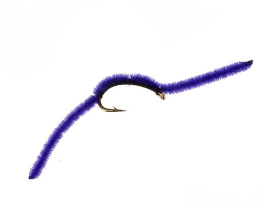 San Juan Worm, Purple