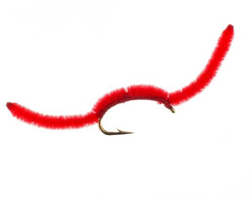 San Juan Worm, Red