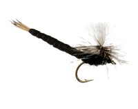 Say Ahh, Black fly fishing fly