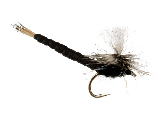 Say Ahh, Black fly fishing fly